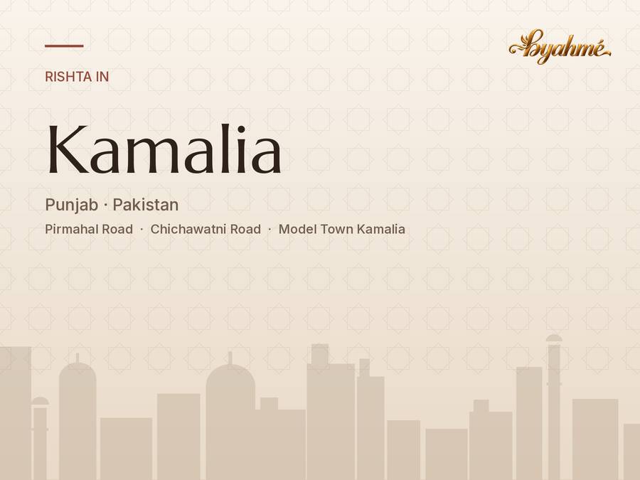 Rishta service in Kamalia